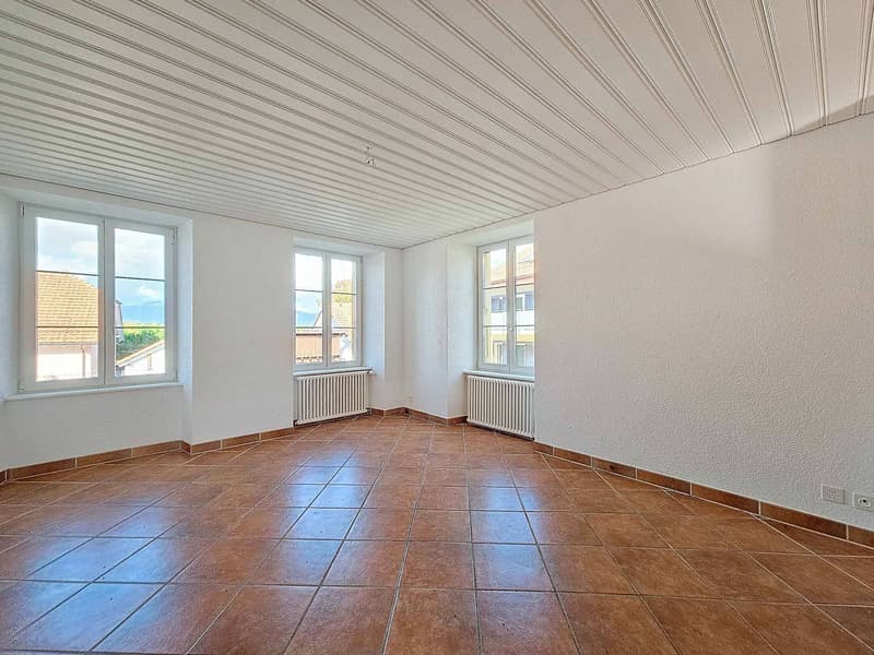 Beautiful Master House with authentic charm (8)