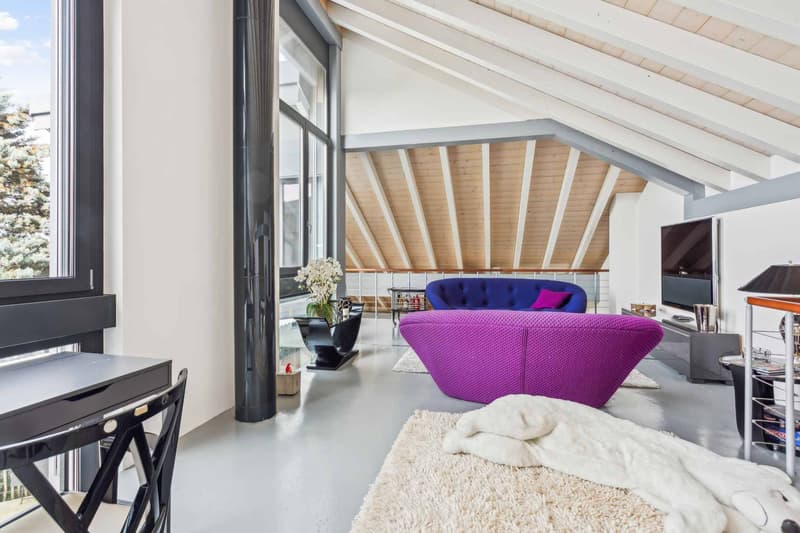 Contemporary architect's villa with 7.5 rooms and swimming pool (6)