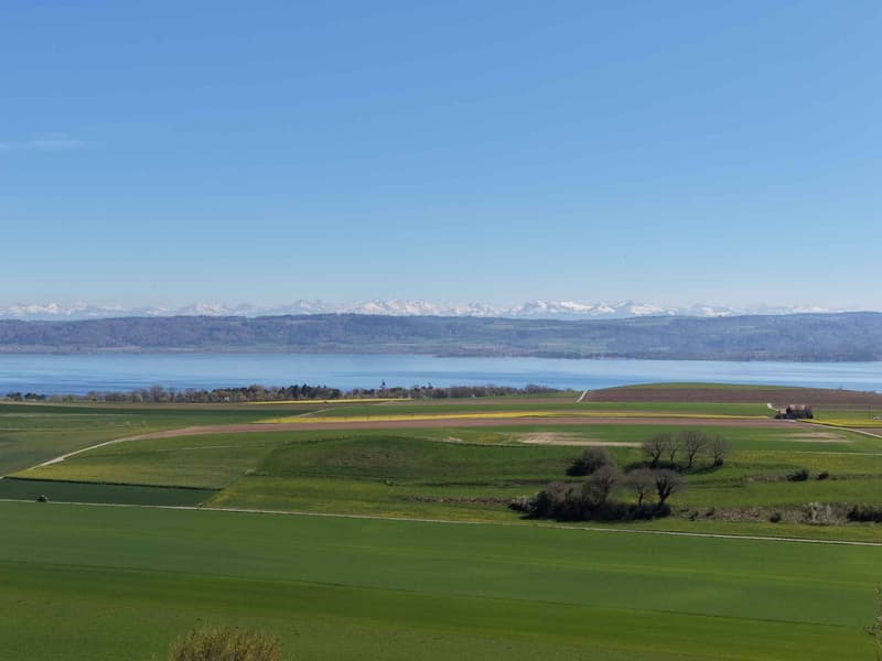 Villa di charme con vista panoramica sul lago di Neuchâtel (11)