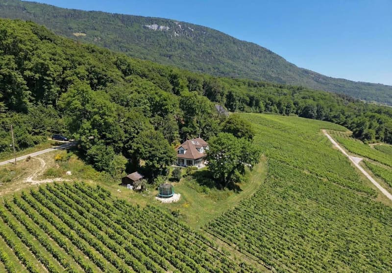 Villa di charme con vista panoramica sul lago di Neuchâtel (12)