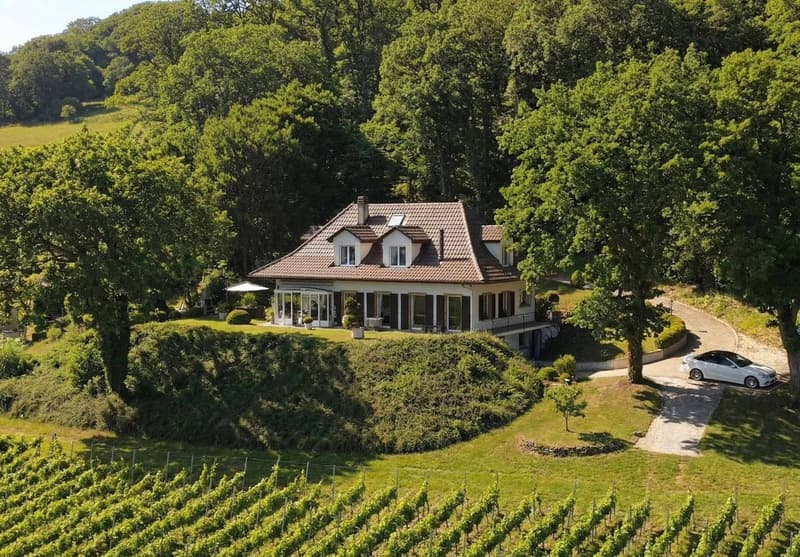 Villa di charme con vista panoramica sul lago di Neuchâtel (1)