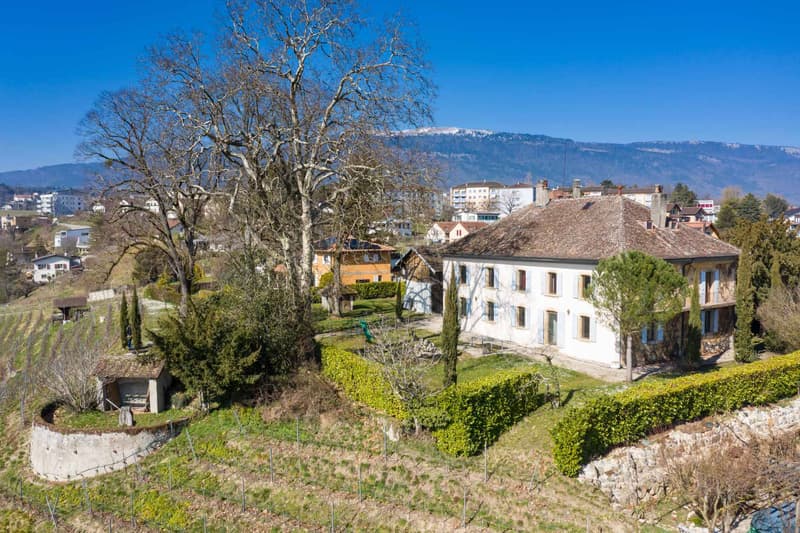 Maison bourgeoise avec vignoble (11)