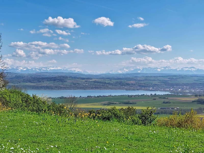 Außergewöhnliches Anwesen - Lebenskunst zwischen Himmel, See und Bergen (11)