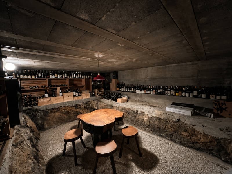 Magnifica villa individuale di 5.5 locali (11)