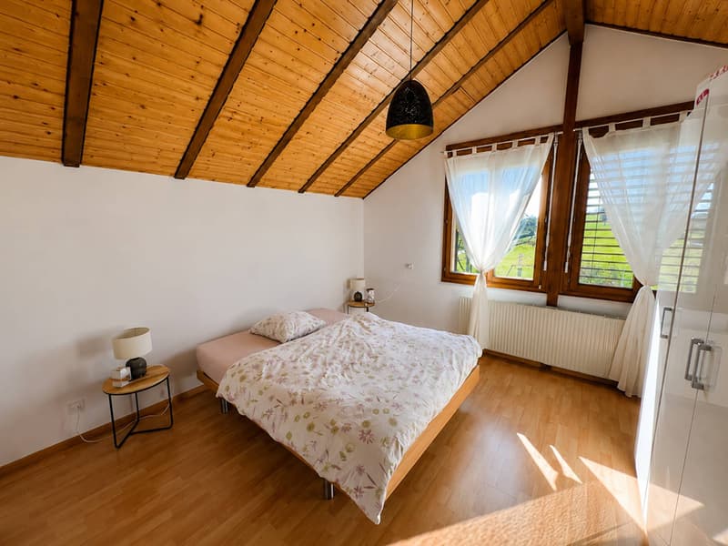 Magnifica villa individuale di 5.5 locali (10)