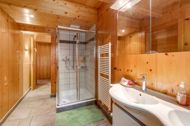 Propriété d'exception - Deux chalets indépendants (8)