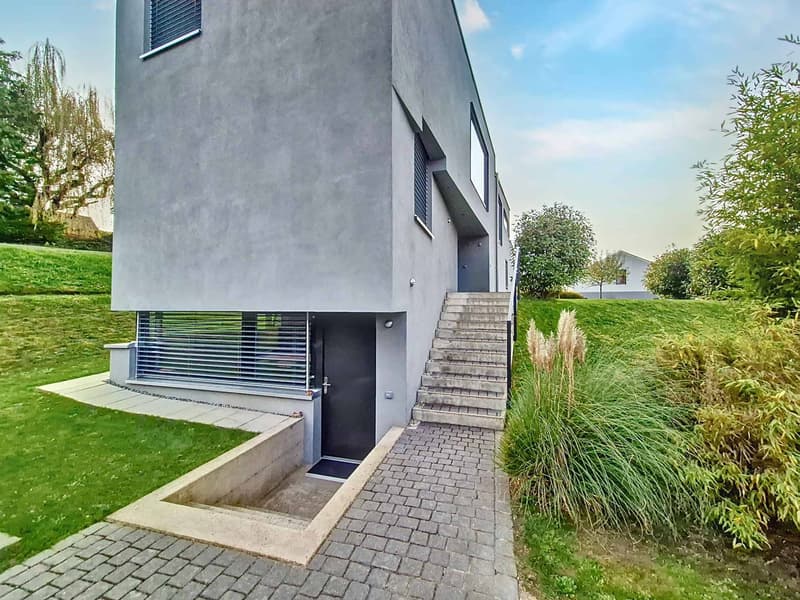 Villa unique dans un quartier résidentiel ! (3)