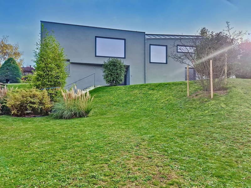 Villa unique dans un quartier résidentiel ! (1)