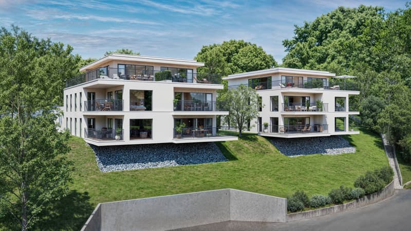 Superbe appartement de 4.5 pièces avec jardin (3)