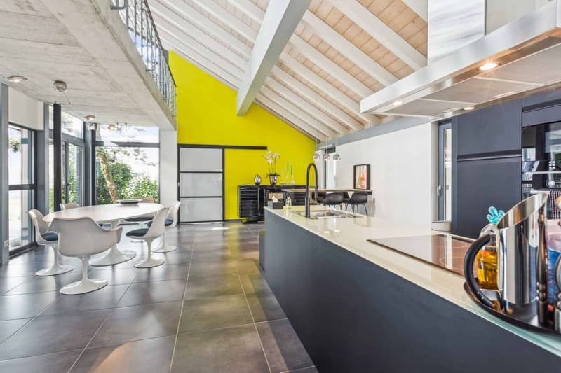 Villa d'architecte contemporaine de 7.5 pièces avec piscine (4)