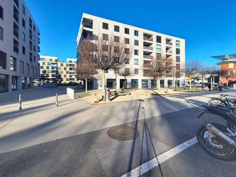 Spacieux attique de 3,5 pièces au centre ville (8)