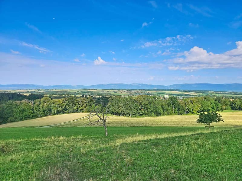 Villa de charme de 4.5 pièces au cur d'un cadre verdoyant (10)