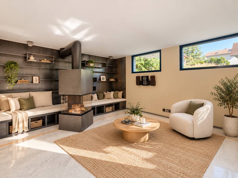 Une architecture singulière au cur d'un environnement verdoyant (4)