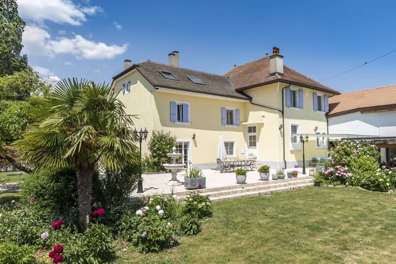 Superbe maison villageoise de 3 logements avec terrasse et jardin (1)