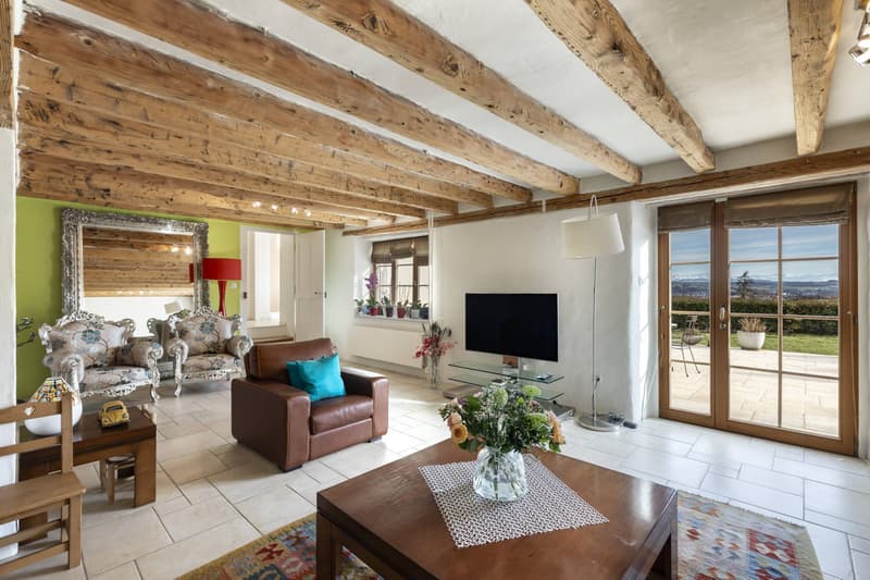 Superbe maison villageoise de 3 logements avec terrasse et jardin (3)