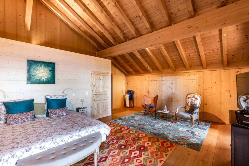 Propriété dexception - Deux chalets indépendants (4)