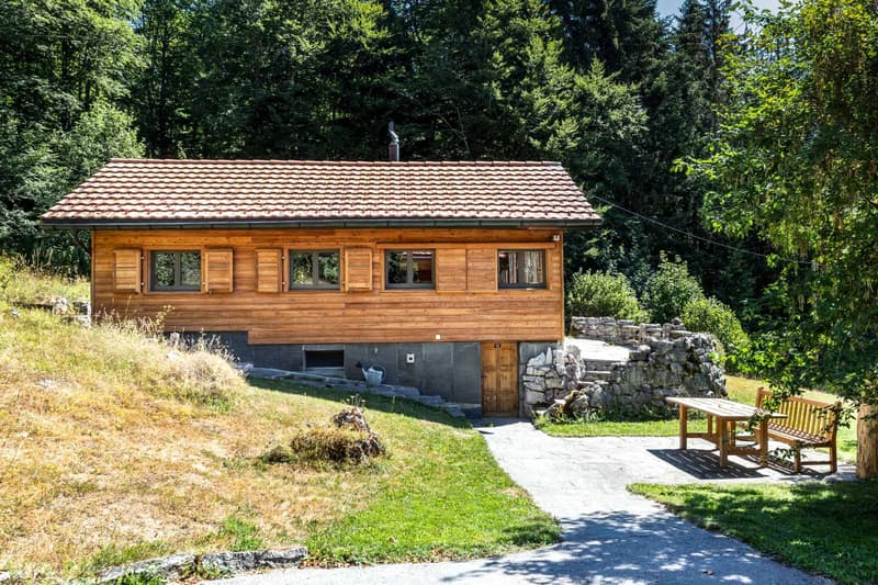 Propriété dexception - Deux chalets indépendants (12)