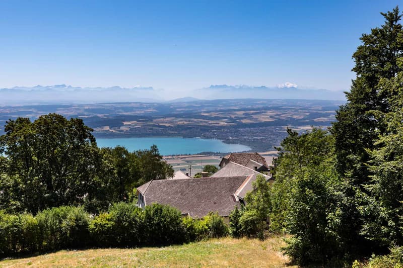 Propriété dexception - Deux chalets indépendants (11)