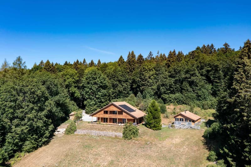 Propriété dexception - Deux chalets indépendants (2)