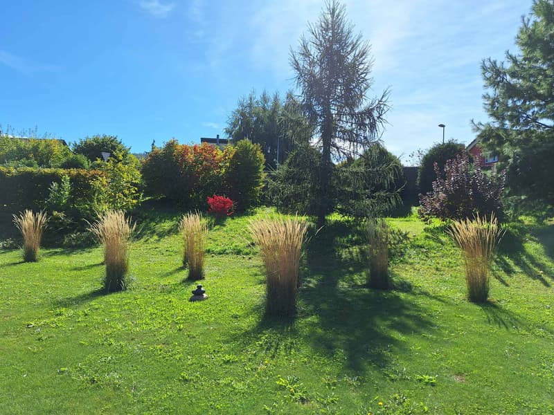 VILLA CONTEMPORAINE MINERGIE DANS UN ENVIRONNEMENT PRIVILÉGIÉ (5)
