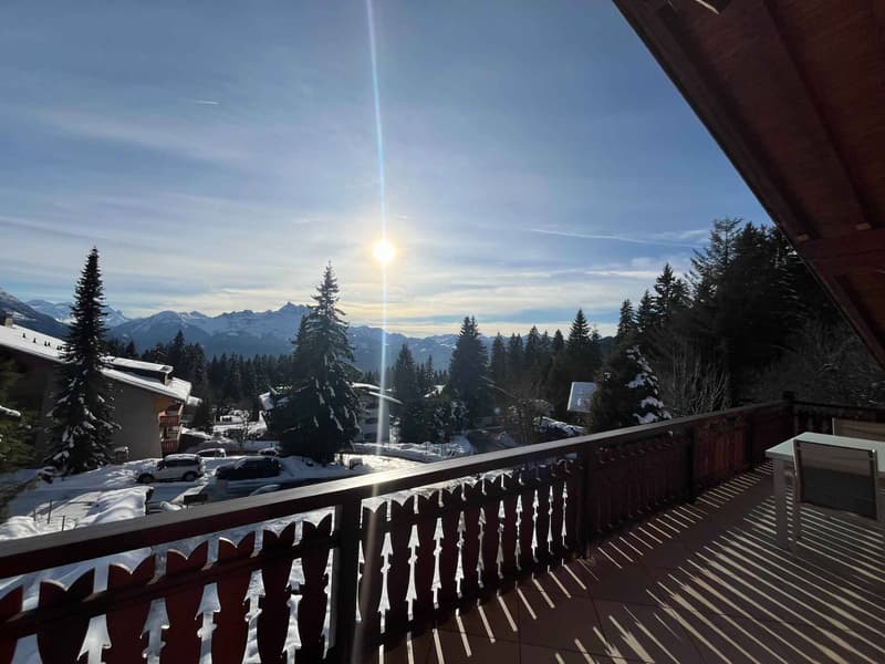SKI-IN SKI-OUT! Cross-through apartment in the heart of the Residence (2)