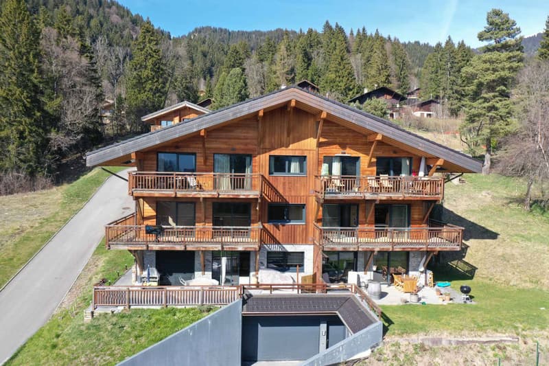 Appartamento di alta qualità di fronte alle montagne, a due passi dalle piste (8)