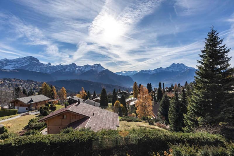 Exceptional chalet with private elevator and breathtaking view (12)
