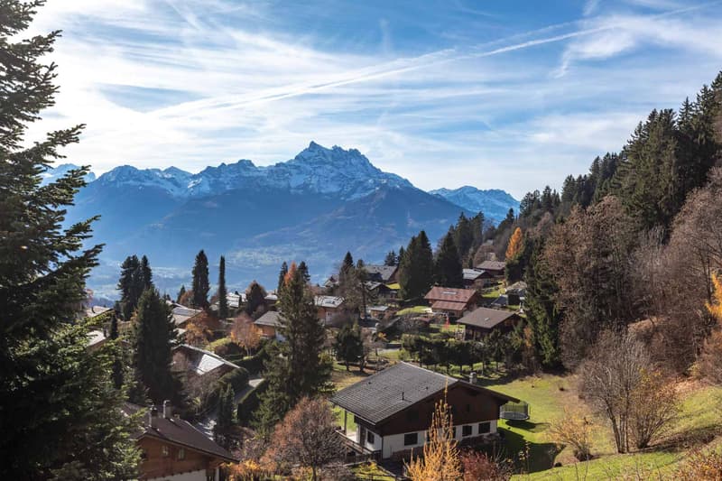 Exceptional chalet with private elevator and breathtaking view (4)