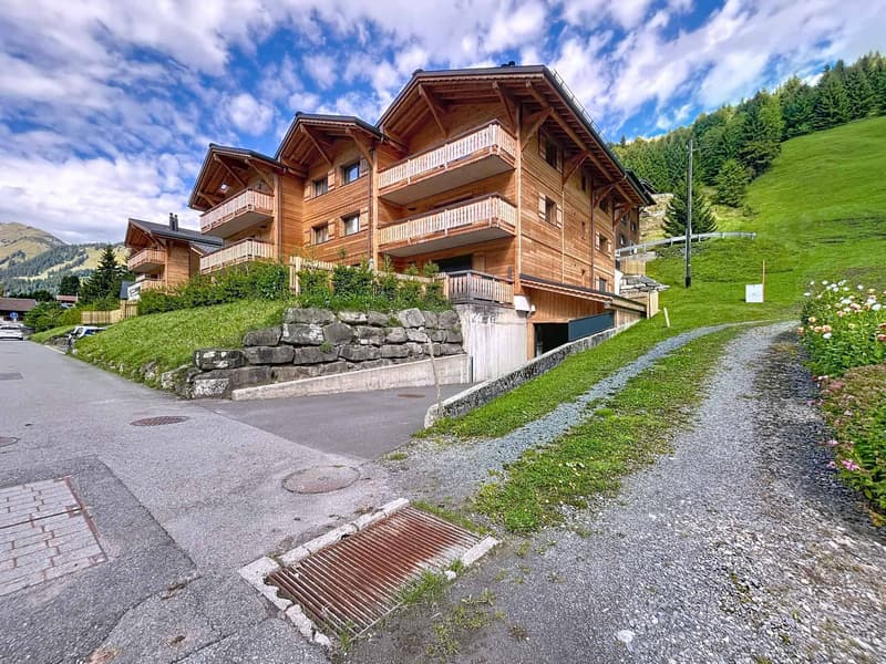 Appartamento con 3.5 locali e balcone (9)