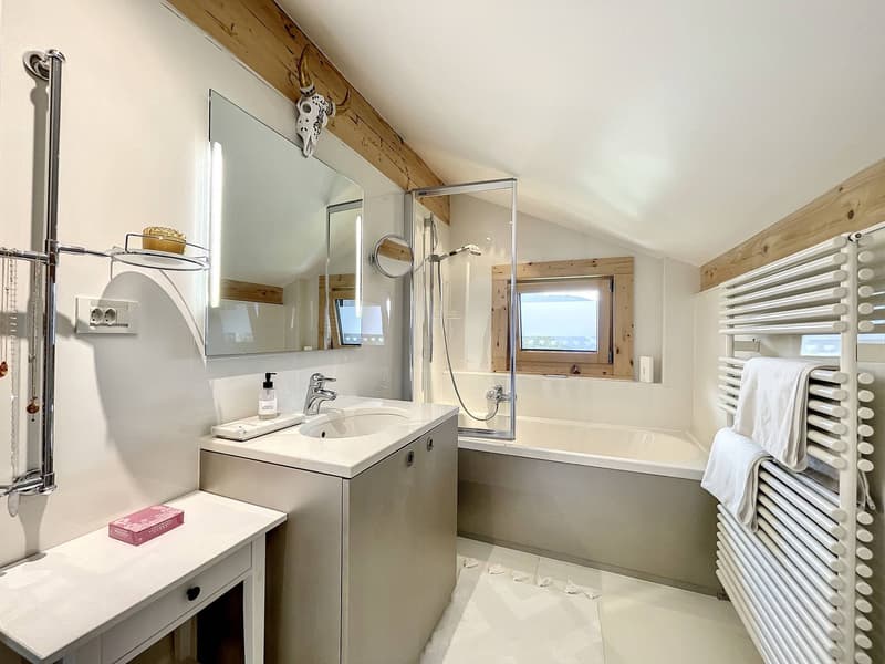 Somptueux chalet avec piscine et vue imprenable sur les Dents-du-Midi (10)