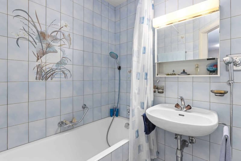 Spacious 5.5 rooms in the charming village of Brent (11)
