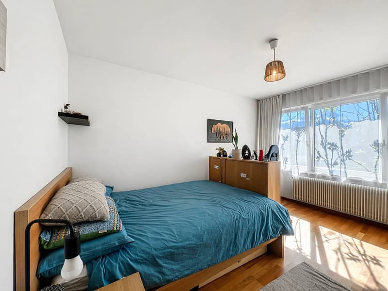 Beautiful and large villa with breathtaking views of the Dents du Midi (10)