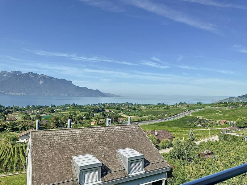 Semi-detached villa with 5.5 rooms, offering a panoramic view of the lake and the Alps! (9)