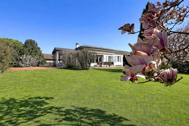 Family house with beautiful garden (13)