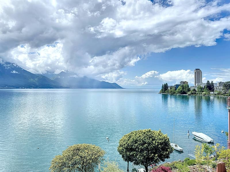 Magnificent 5.5-room apartment, waterfront! Prestigious residence! (10)