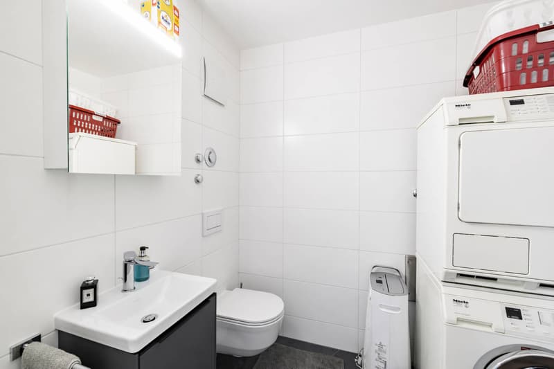 Spacious 5.5-room apartment with terrace and large garden (13)