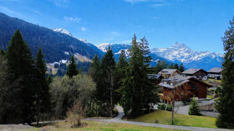 Haven of peace in the mountains, just two steps from the slopes (4)