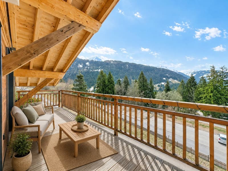 Haven of peace in the mountains, just two steps from the slopes (3)