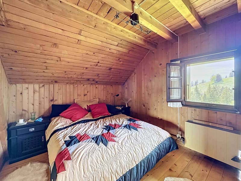 Chalet in Orgevaux/Montreux (6)