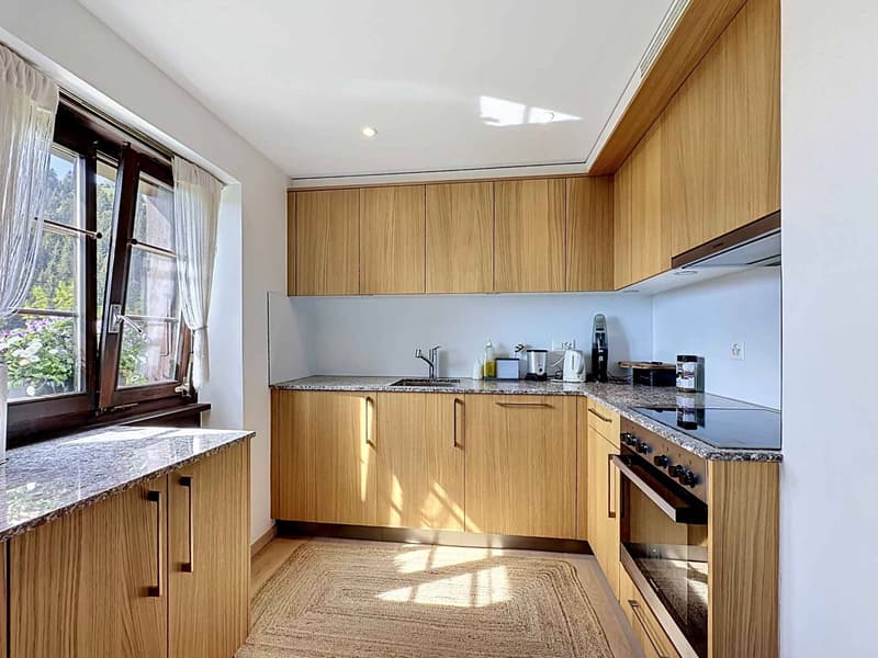 Chalet in Orgevaux/Montreux (5)