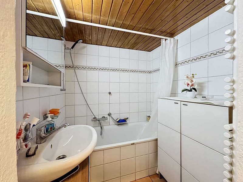 Chalet in Orgevaux/Montreux (7)