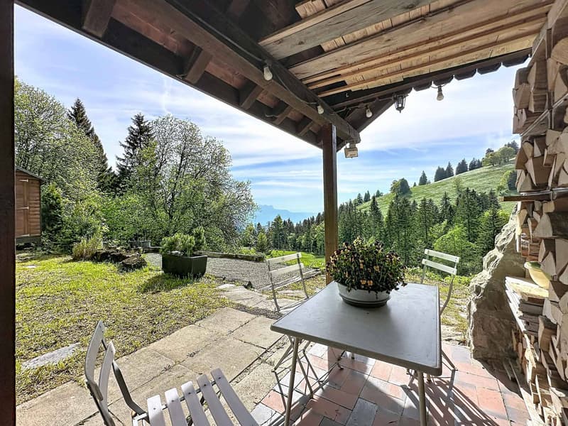 Chalet in Orgevaux/Montreux (8)