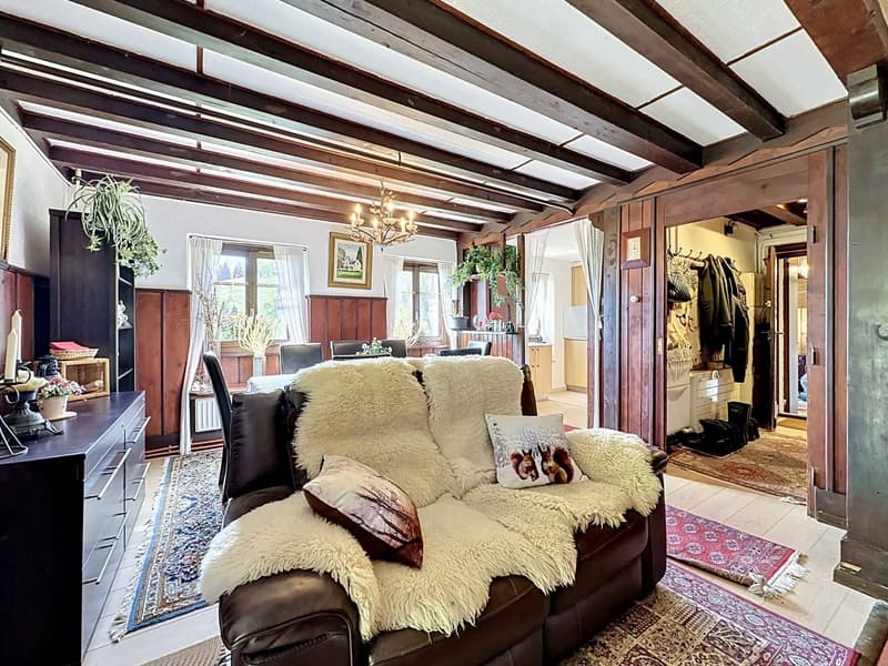 Chalet in Orgevaux/Montreux (4)