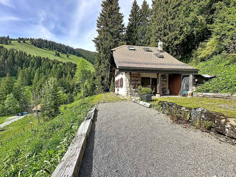 Chalet in Orgevaux/Montreux (9)