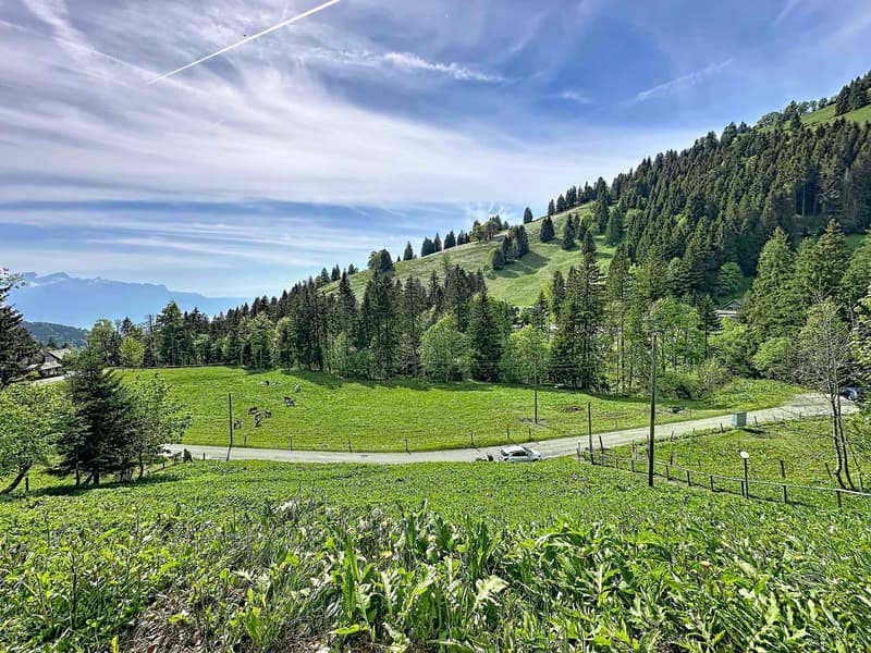 Chalet in Orgevaux/Montreux (2)