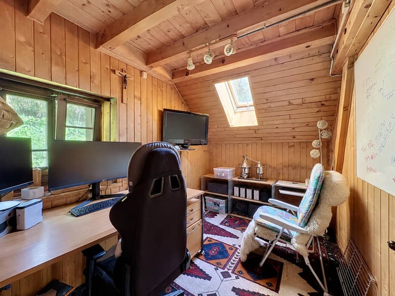Chalet in Orgevaux/Montreux (13)