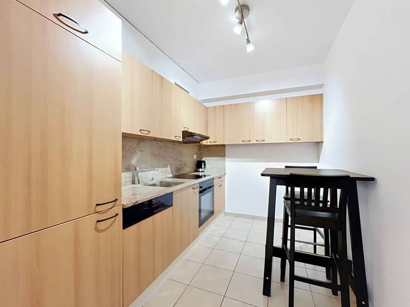 Apartment with 3.5 rooms, terrace, garden and lake view (4)