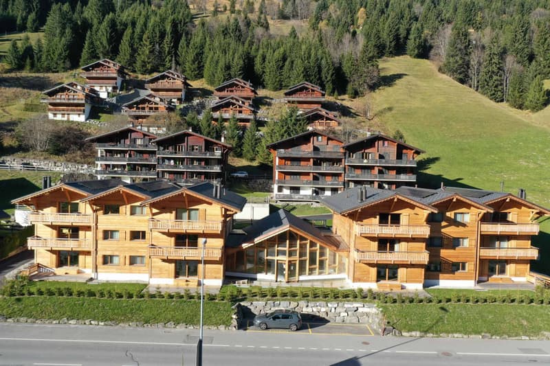Neues Duplex mit Garten - Alpines Flair im Herzen der Portes du Soleil (4)