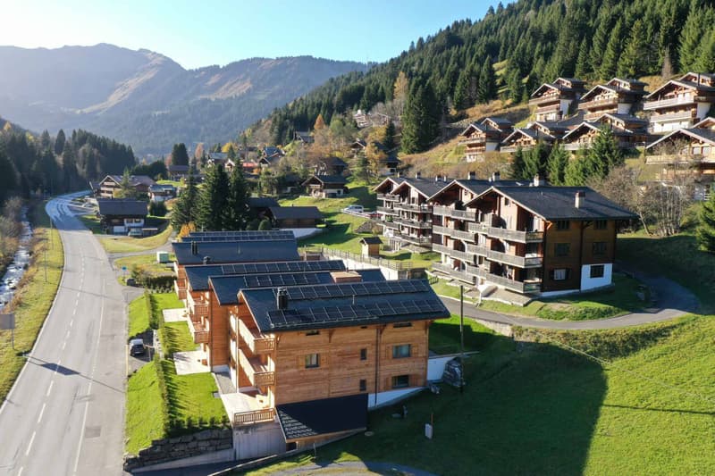 Neues Duplex mit Garten - Alpines Flair im Herzen der Portes du Soleil (5)