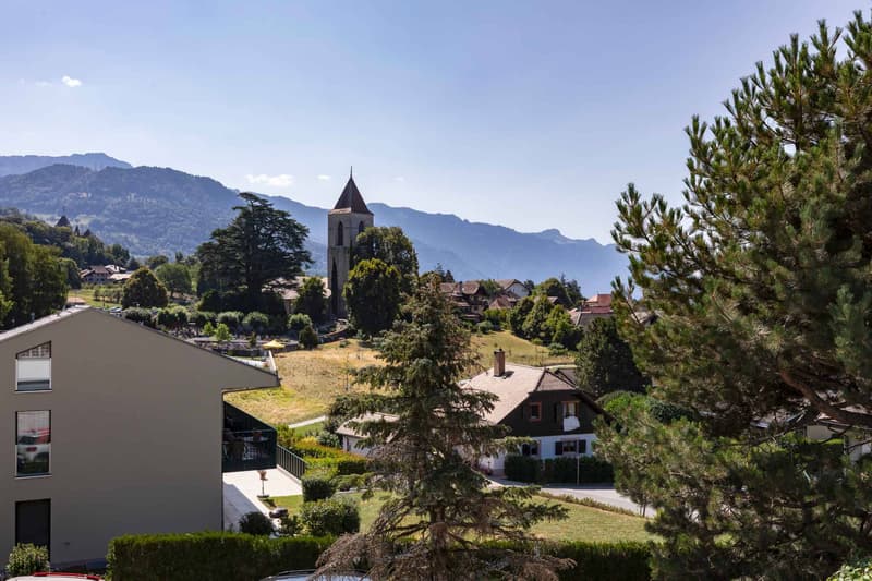 Superbe propriété de 7,5 pièces au cur d'un quartier très recherché à Saint-Légier (8)